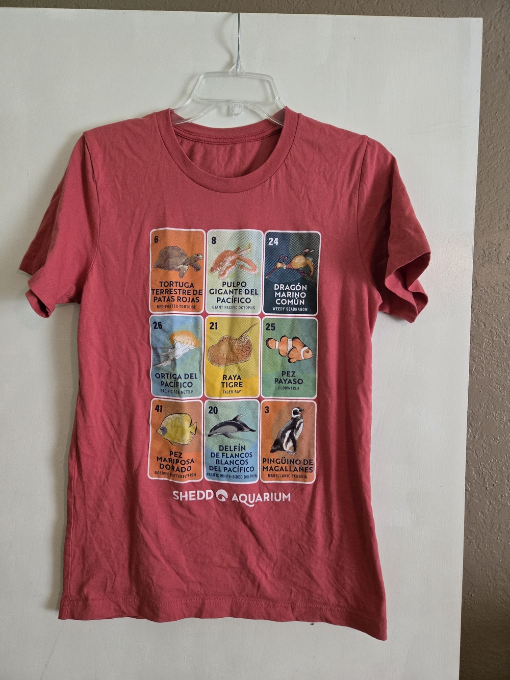Pink Graphic Tee - Marine Life Cards